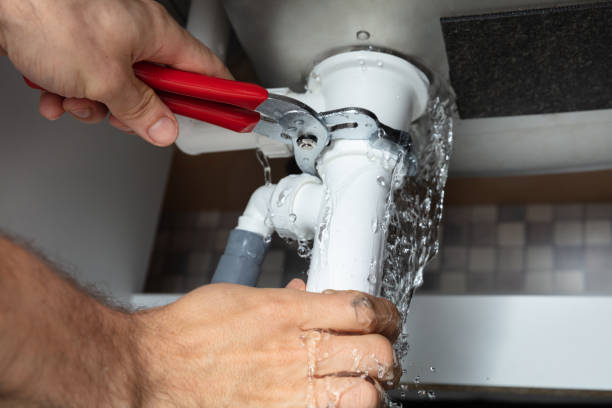 Best Mold removal after water damage  in Mescal, AZ