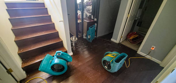 Best Water damage restoration near me  in Mescal, AZ