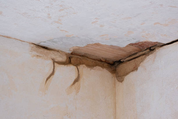 Best Flood restoration services  in Mescal, AZ