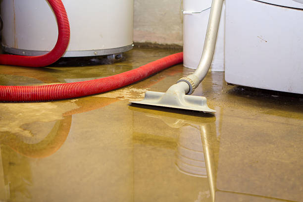 Best Residential water damage restoration  in Mescal, AZ