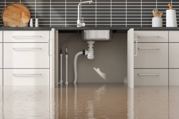 Best Sewage cleanup and water damage restoration  in Mescal, AZ