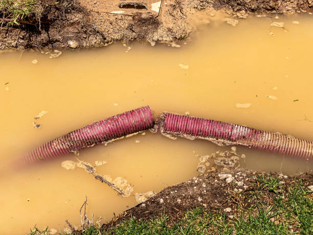 Sewage cleanup and water damage restoration in AZ