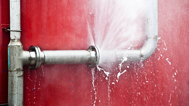 Best Mold removal after water damage  in Mescal, AZ