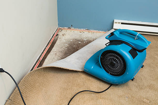 Best Flooded house restoration  in Mescal, AZ